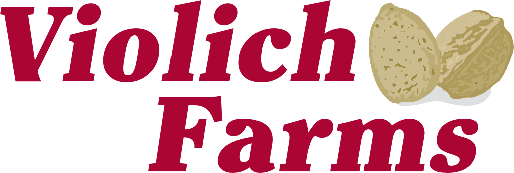 Violich Logo